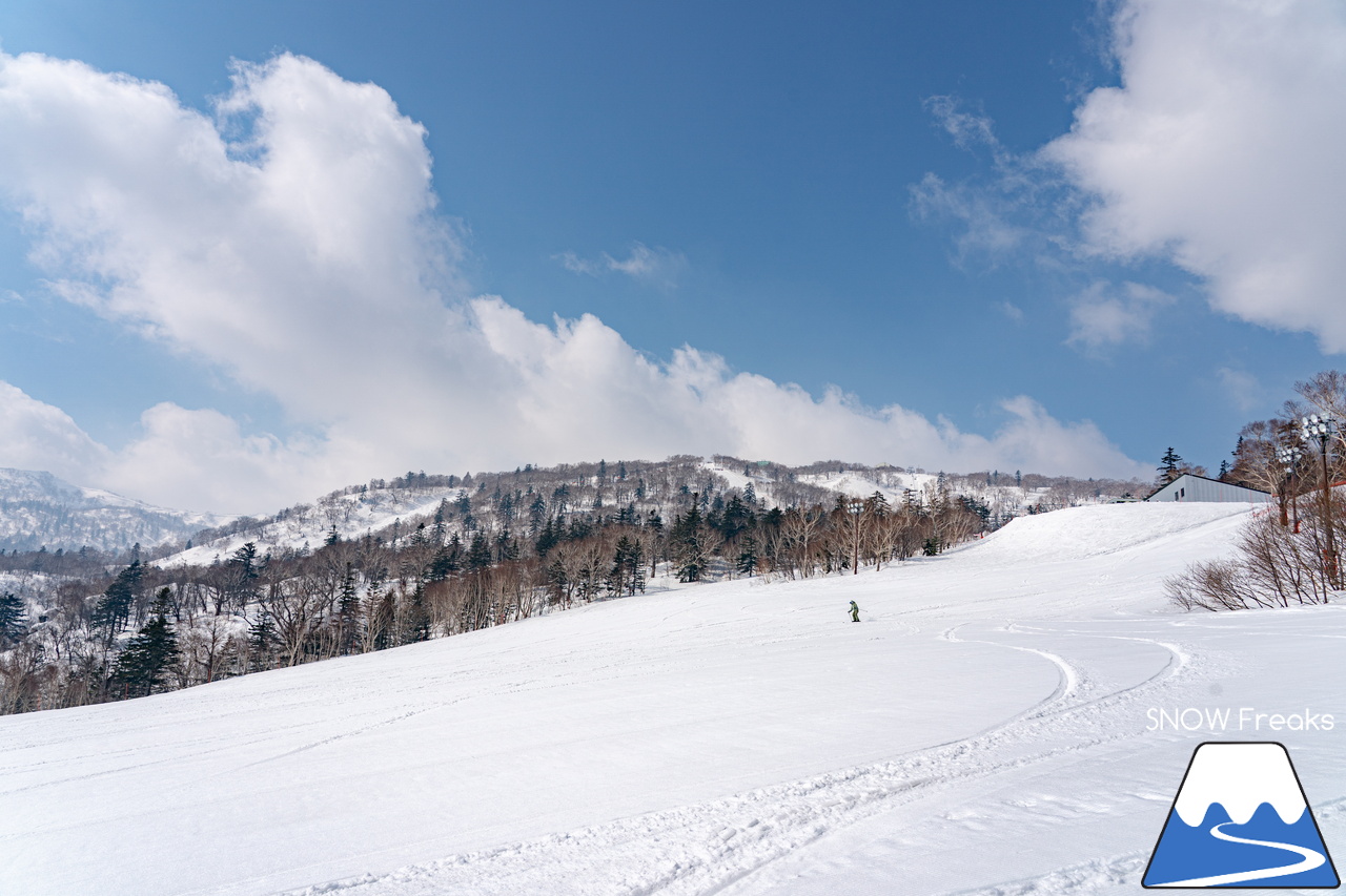 札幌国際スキー場｜さすが『KOKUSAI』！春シーズンも安泰の豊富な積雪で、まだまだ余裕で全面滑走可能です(^^)v